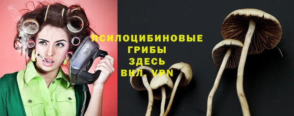 мет Армянск