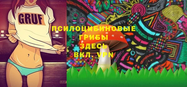 a pvp Аркадак