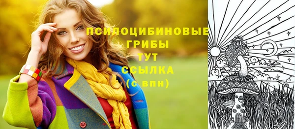 a pvp Аркадак
