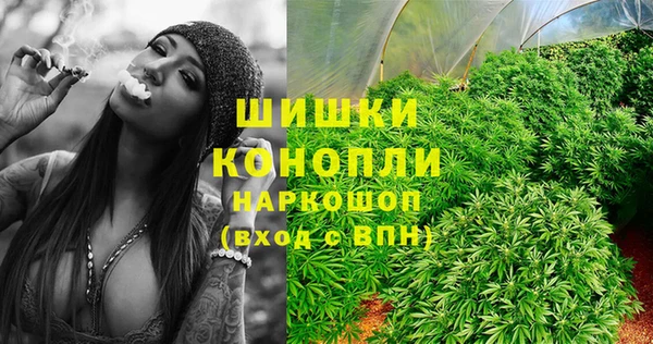 амф Арсеньев
