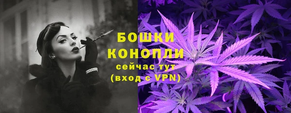 амф Арсеньев